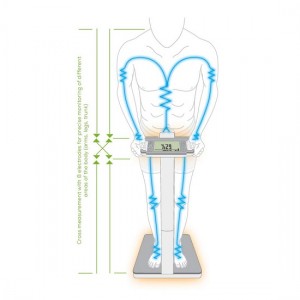 Beurer Diagnostic Bathroom Scale BF 1000